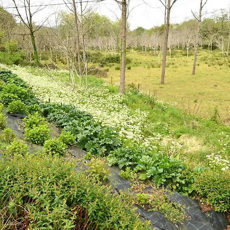 La Palombrera Holiday home *